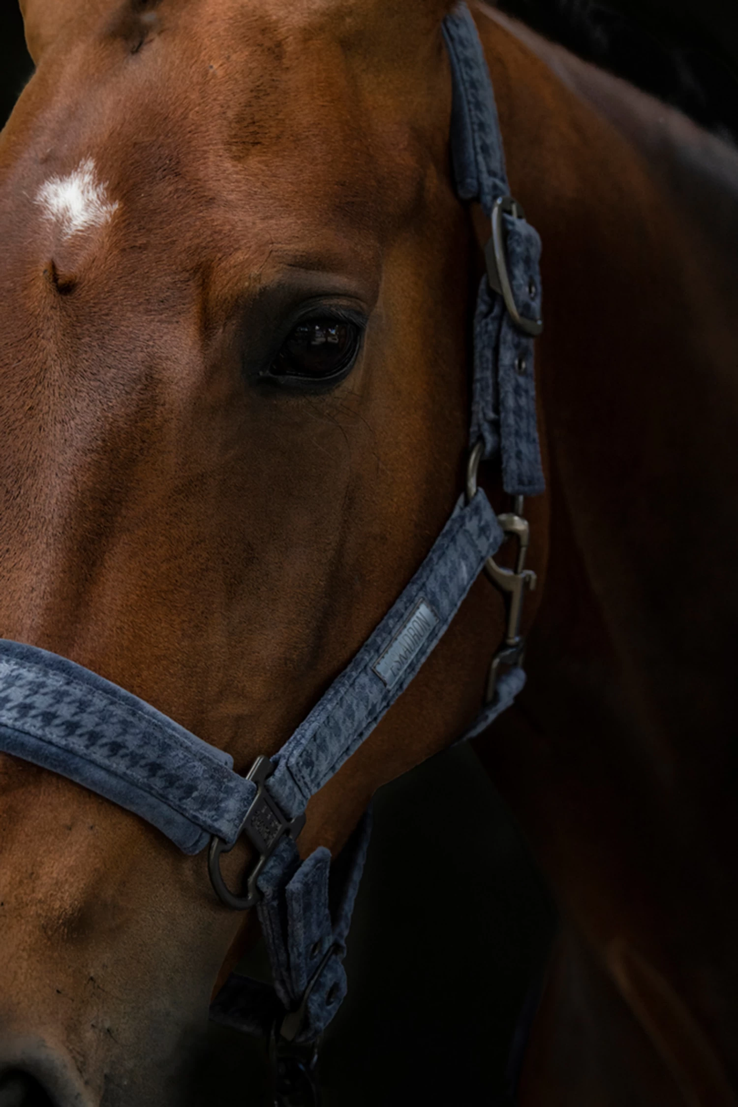 Eskadron Essence 22/23 Doublepin Vevet Stamp Headcollar 6 Eskadron Essence 22/23 Doublepin Vevet Stamp Headcollar - Image 4