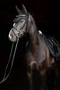 Eskadron Essence 22/23 Glitter Mesh Sport Fly Hood -Sports - Horse Equipment Shop 342557 DOGR 2