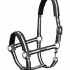 Eskadron Essence 22/23 Pinbuckle Headcollar -Sports - Horse Equipment Shop 342564 BL OWH 1