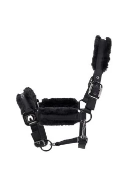 Cavallo Hafida Halter