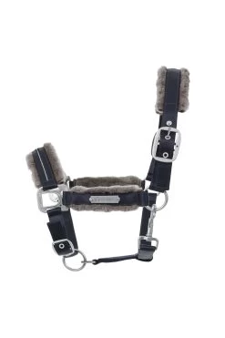 Cavallo Henny Halter