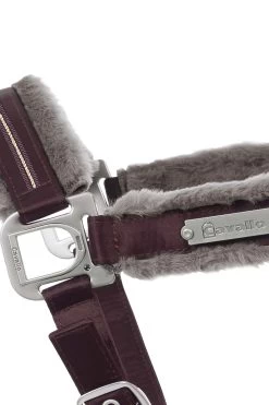 Cavallo Henny Halter -Sports - Horse Equipment Shop 342687 WRE 2