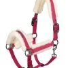 Eskadron Reflexx SS23 Glossy Evo-Wool Douple Pin Headcollar -Sports - Horse Equipment Shop 343322 BPI 01