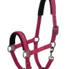 Eskadron Reflexx SS23 Halter Pin Buckle -Sports - Horse Equipment Shop 343323 BPI 01