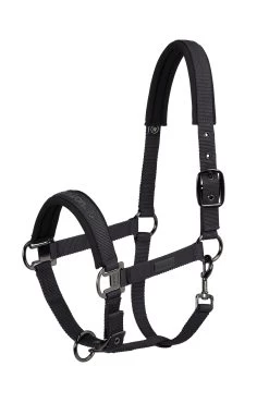 Sports - Horse Equipment Shop -Sports - Horse Equipment Shop 343323 DG 01