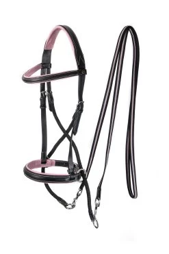 F.R.A. Dietsji Bitless Bridle (System 5)