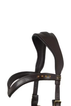 F.R.A. Glory System 4 Chin-Crossed Bitless Bridle -Sports - Horse Equipment Shop 343445 BR 3