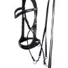 F.R.A. Glory Jaw-Crossed Bitless Bridle (System 5), Black 1 F.R.A. Glory Jaw-Crossed Bitless Bridle (System 5), Black -Sports - Horse Equipment Shop 343446 BL 1