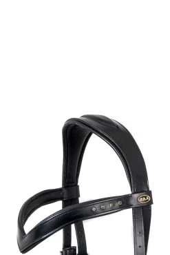 F.R.A. Glory Jaw-Crossed Bitless Bridle (System 5), Black -Sports - Horse Equipment Shop 343446 BL 3