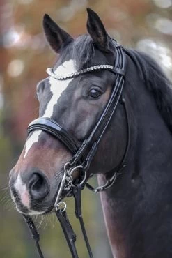 Kavalkade Fleur Double Bridle