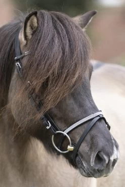 Kavalkade Hvítur English Noseband For Aradis Icelandic Bridle -Sports - Horse Equipment Shop 344098 BL 3