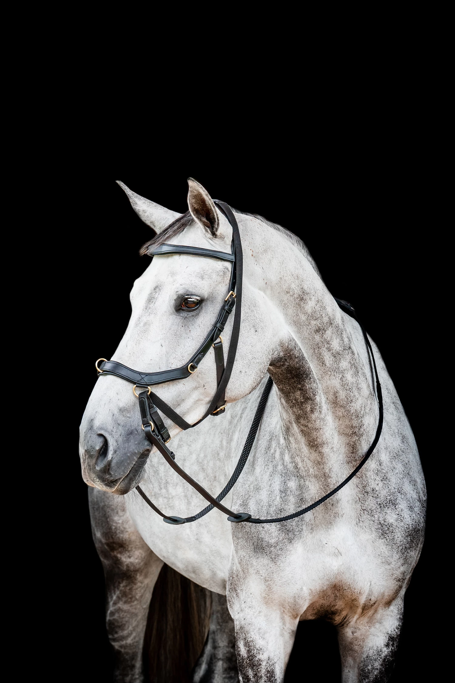 Horseware Rambo Micklem 2 Multi Bridle 3 Horseware Rambo Micklem 2 Multi Bridle