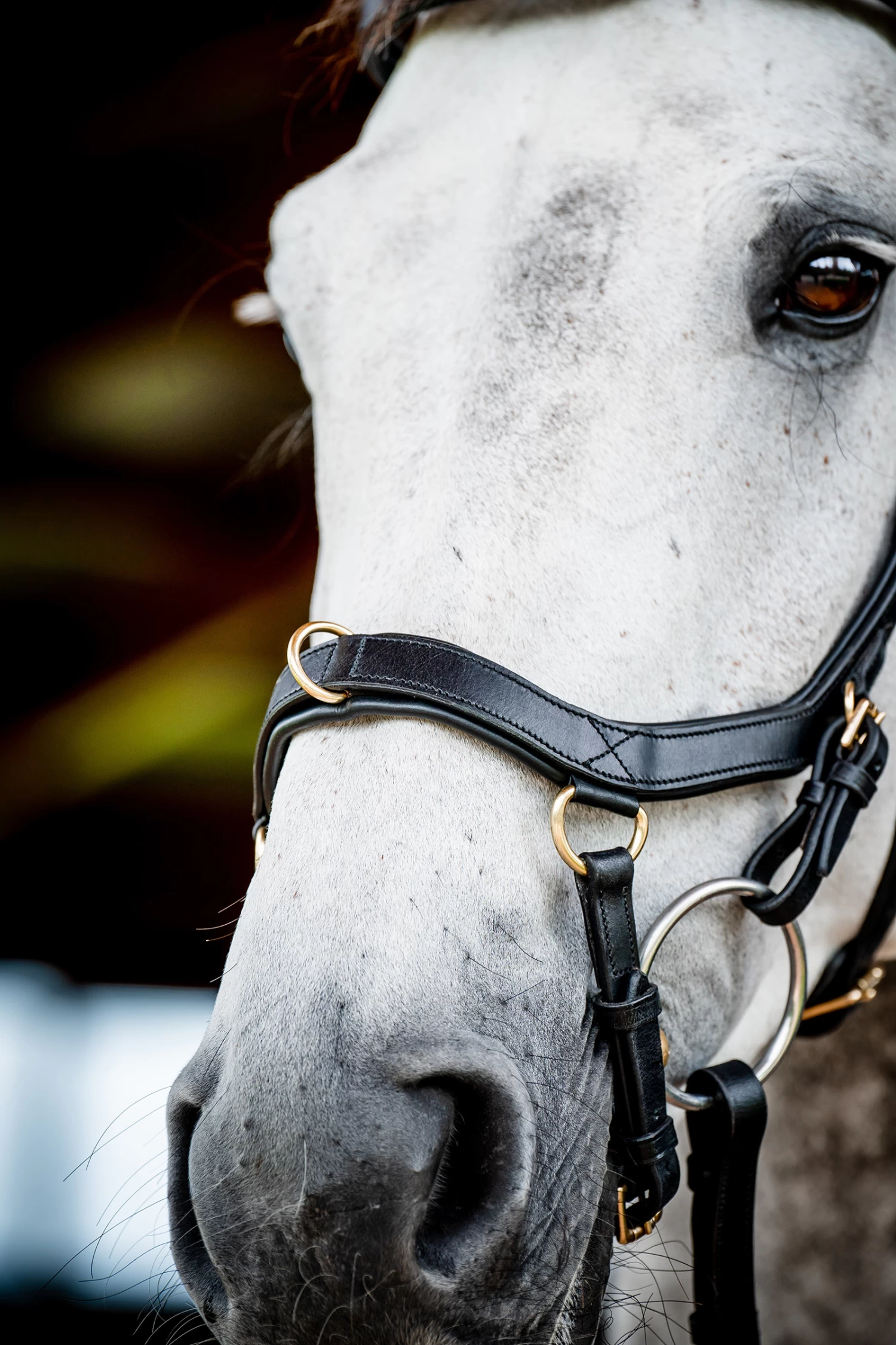 Horseware Rambo Micklem 2 Multi Bridle 4 Horseware Rambo Micklem 2 Multi Bridle - Image 2