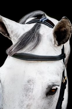 Horseware Rambo Micklem 2 Multi Bridle 16 Horseware Rambo Micklem 2 Multi Bridle -Sports - Horse Equipment Shop 345014 BL 03