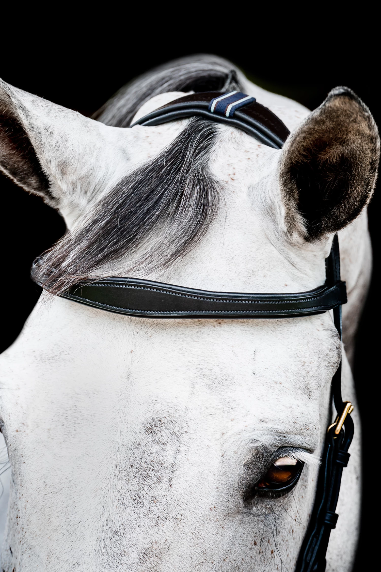 Horseware Rambo Micklem 2 Multi Bridle 5 Horseware Rambo Micklem 2 Multi Bridle - Image 3