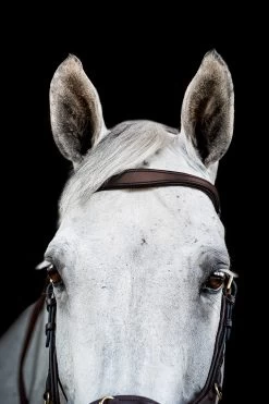 Horseware Rambo Micklem 2 Multi Bridle 20 Horseware Rambo Micklem 2 Multi Bridle -Sports - Horse Equipment Shop 345014 DBR 02