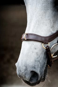 Horseware Rambo Micklem 2 Multi Bridle 22 Horseware Rambo Micklem 2 Multi Bridle -Sports - Horse Equipment Shop 345014 DBR 04