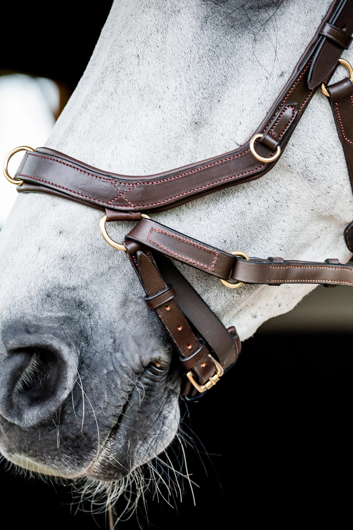 Horseware Rambo Micklem 2 Multi Bridle 12 Horseware Rambo Micklem 2 Multi Bridle - Image 10