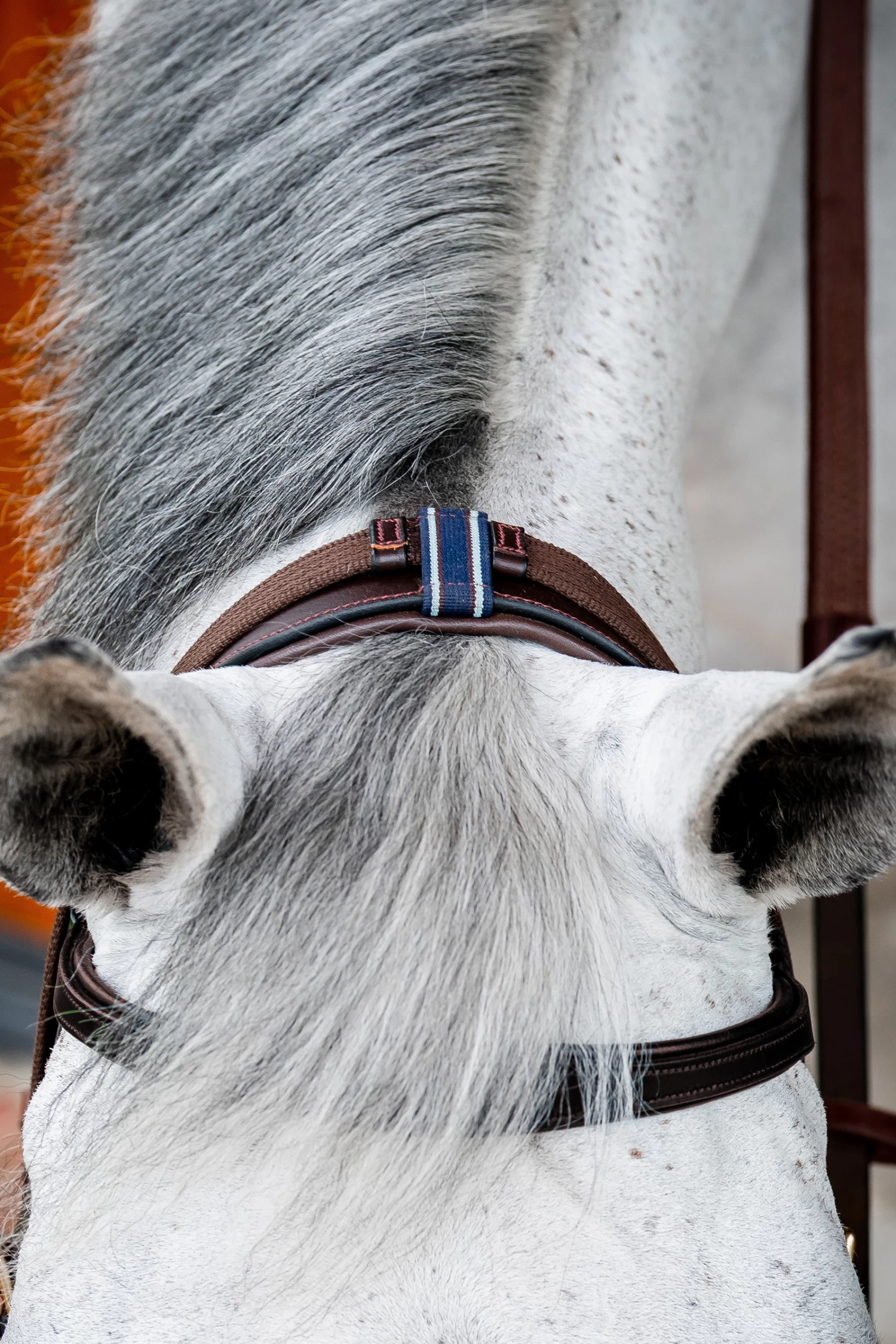 Horseware Rambo Micklem 2 Multi Bridle 13 Horseware Rambo Micklem 2 Multi Bridle - Image 11