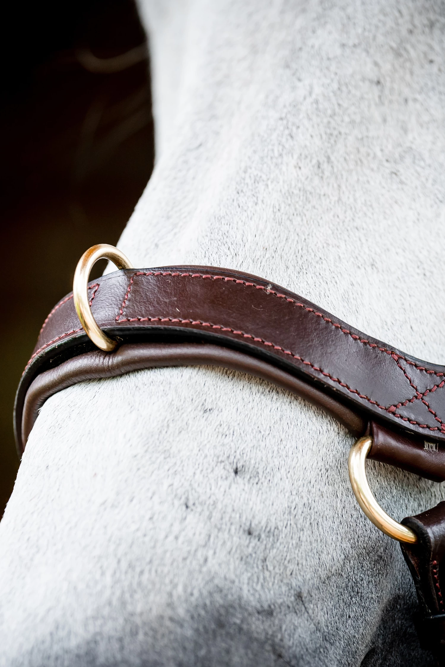 Horseware Rambo Micklem 2 Multi Bridle 14 Horseware Rambo Micklem 2 Multi Bridle - Image 12