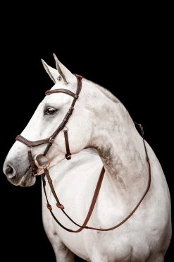 Horseware Rambo Micklem 2 Competition Bridle With Reins -Sports - Horse Equipment Shop 345015 DBR 01