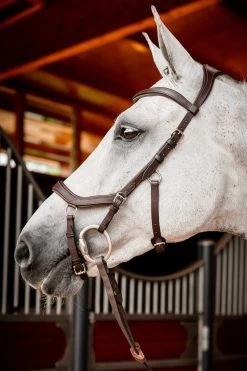 Horseware Rambo Micklem 2 Competition Bridle With Reins -Sports - Horse Equipment Shop 345015 DBR 02