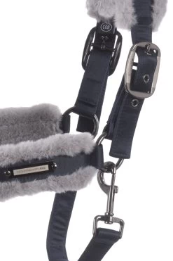 Sports - Horse Equipment Shop -Sports - Horse Equipment Shop 345125 DB 02