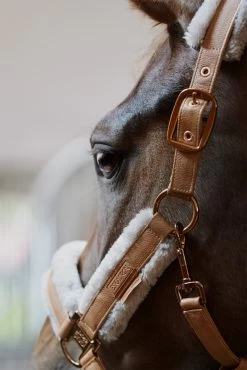 Eskadron Platinum 23 Double Pin Metallic Faux Leather Headcollar -Sports - Horse Equipment Shop 345447 CLBR 02