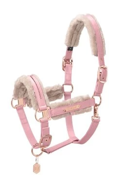 Eskadron Heritage AW2023 Glamslate Double Pin Headcollar 11 Eskadron Heritage AW2023 Glamslate Double Pin Headcollar -Sports - Horse Equipment Shop 345630 PLPI 01