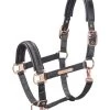 Eskadron Heritage AW2023 Satin Jewel Double Pin Headcollar