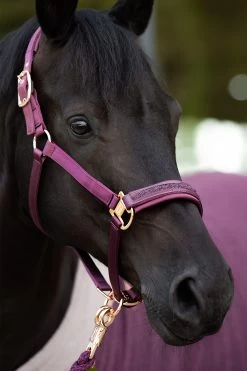 Eskadron Heritage AW2023 Satin Jewel Double Pin Headcollar -Sports - Horse Equipment Shop 345659 CSPU 02