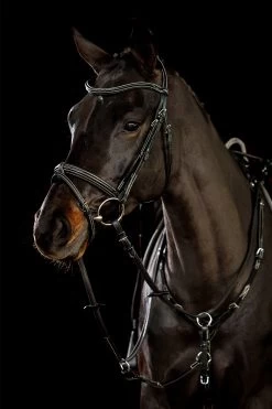 Schockemöhle Tokyo F Select Bridle -Sports - Horse Equipment Shop 488W6 092 02