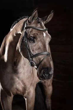 LeMieux Arika Flash Bridle 17 LeMieux Arika Flash Bridle -Sports - Horse Equipment Shop 4D9F2 099 04