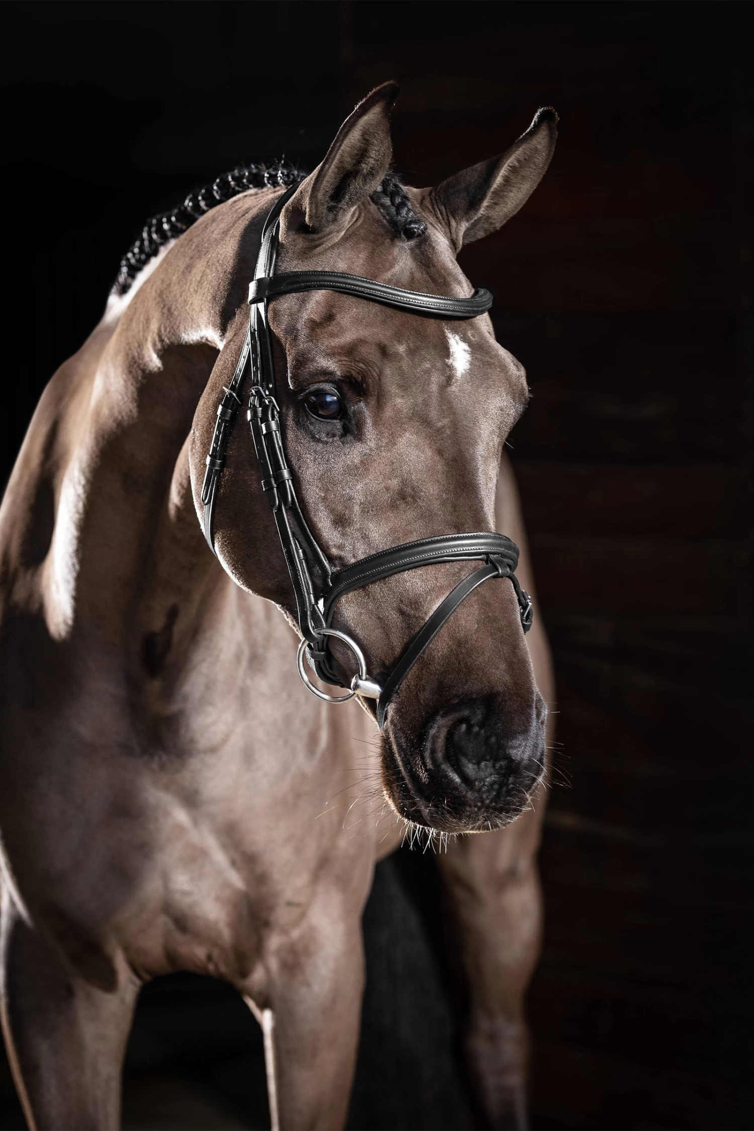 LeMieux Arika Flash Bridle 10 LeMieux Arika Flash Bridle - Image 8