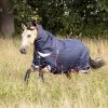LeMieux Kudos Lightweight Turnout Rug, 50g -Sports - Horse Equipment Shop 847G6 580 02