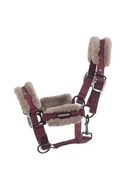 Cavallo Cavajany Halter