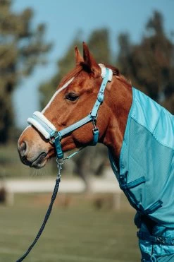 Halter With Crystals -Sports - Horse Equipment Shop CP2211 AB 2