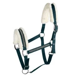 Halter With Crystals -Sports - Horse Equipment Shop CP2211 DGR 1