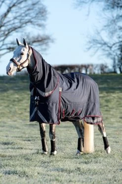 LeMieux Kudos Lightweight Turnout Rug, 100g