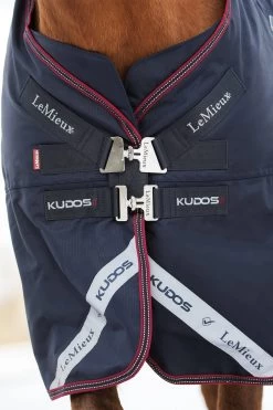 LeMieux Kudos Lightweight Turnout Rug, 100g -Sports - Horse Equipment Shop E0T5R 580 03