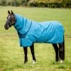 Horseware Amigo Hero 900 Revive Plus Turnout Rug Incl. Detachable Neck, 200g 2 Horseware Amigo Hero 900 Revive Plus Turnout Rug Incl. Detachable Neck, 200g -Sports - Horse Equipment Shop FSM7T 560 01