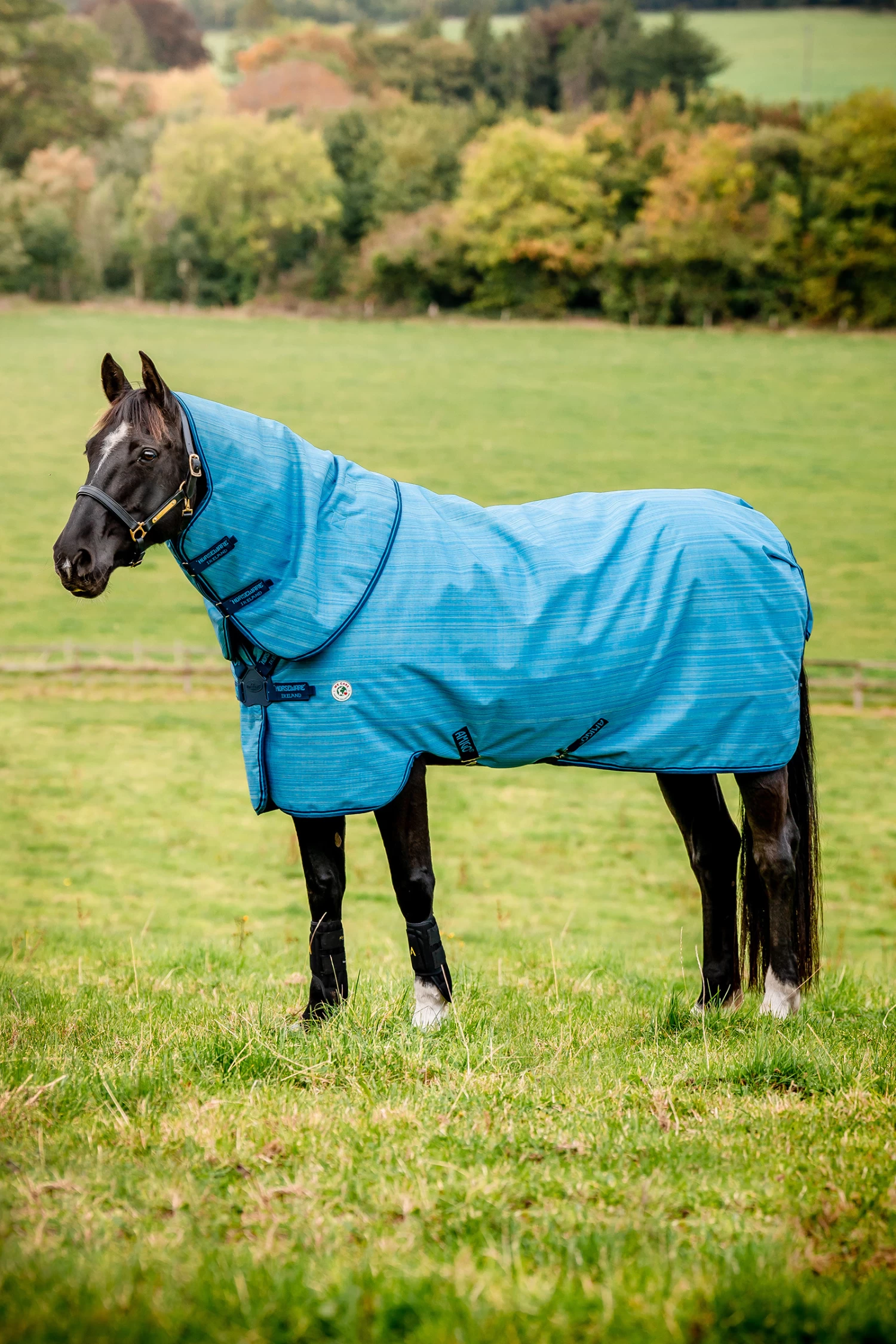 Horseware Amigo Hero 900 Revive Plus Turnout Rug Incl. Detachable Neck, 200g 3 Horseware Amigo Hero 900 Revive Plus Turnout Rug Incl. Detachable Neck, 200g