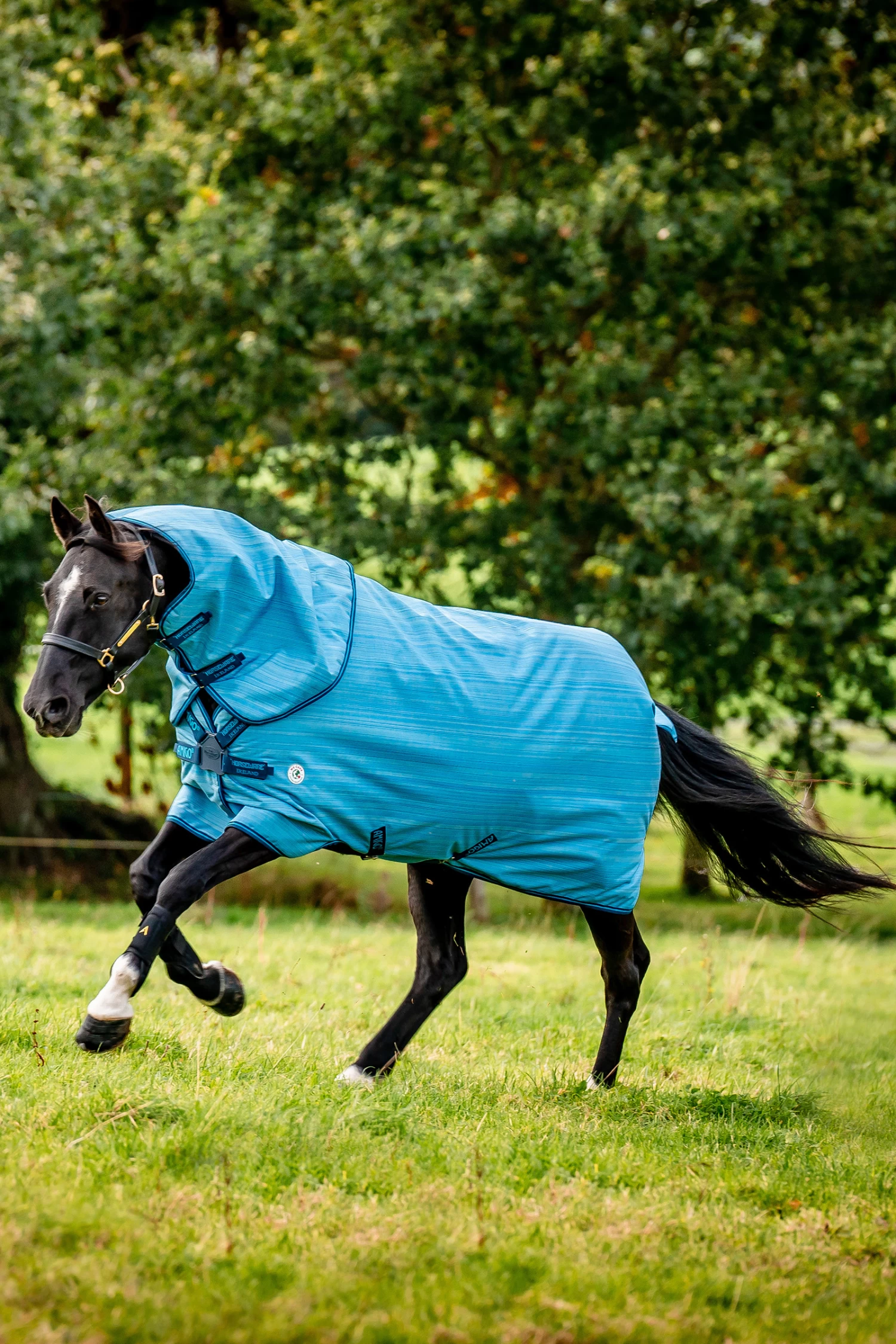 Horseware Amigo Hero 900 Revive Plus Turnout Rug Incl. Detachable Neck, 200g 4 Horseware Amigo Hero 900 Revive Plus Turnout Rug Incl. Detachable Neck, 200g - Image 2