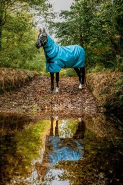 Horseware Amigo Hero 900 Revive Plus Turnout Rug Incl. Detachable Neck, 200g 13 Horseware Amigo Hero 900 Revive Plus Turnout Rug Incl. Detachable Neck, 200g -Sports - Horse Equipment Shop FSM7T 560 03