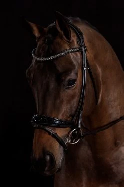 Schockemöhle Westminster Bridle -Sports - Horse Equipment Shop JWFKW 097 04