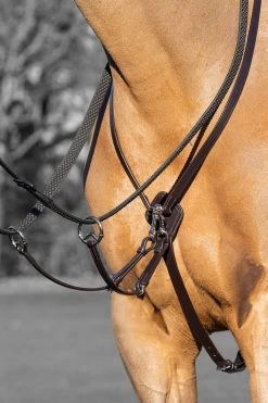 LeMieux Kudos Running Martingale -Sports - Horse Equipment Shop NQ5CN 780 02