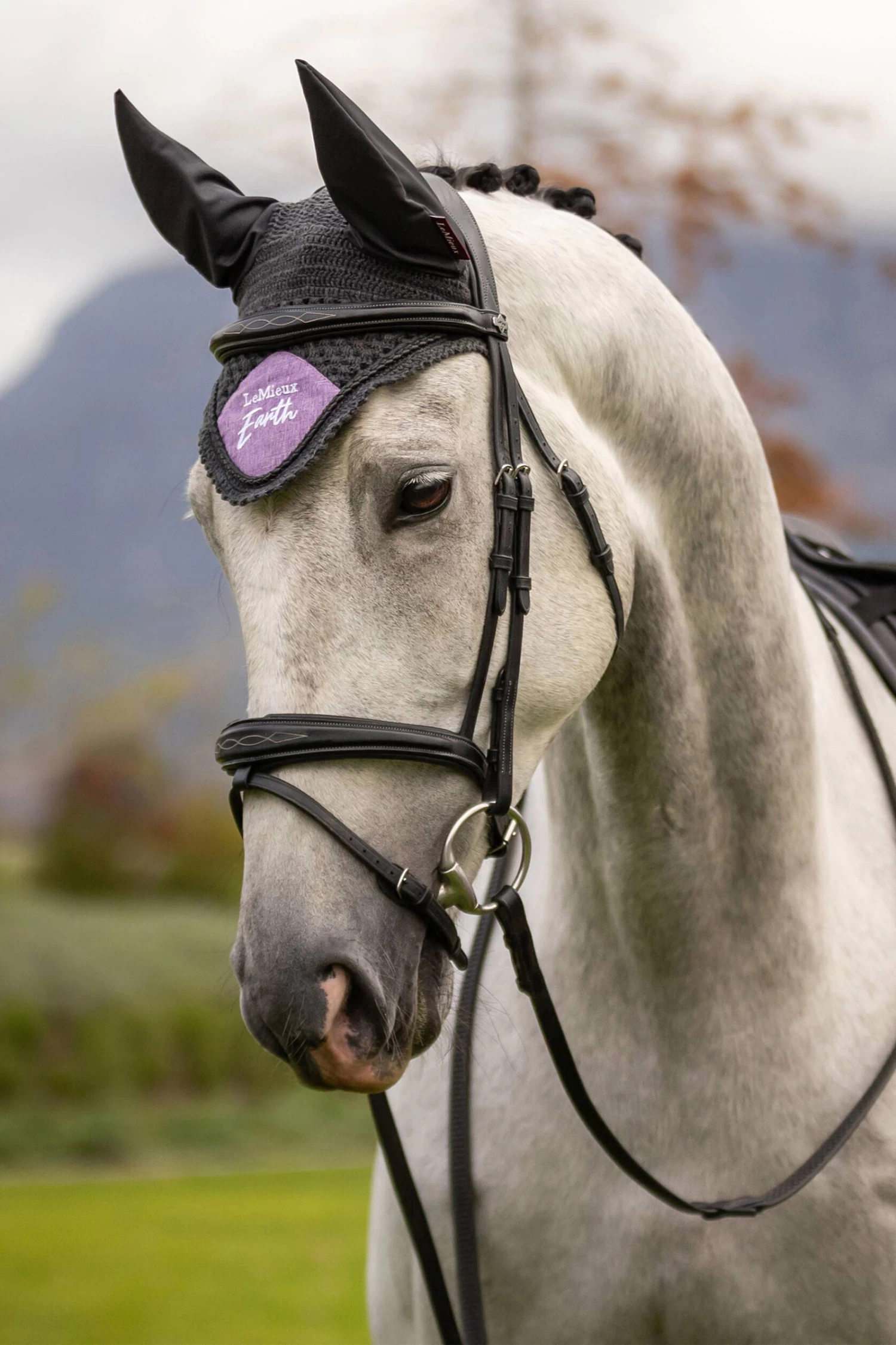 LeMieux Earth Fly Hood 4 LeMieux Earth Fly Hood - Image 2