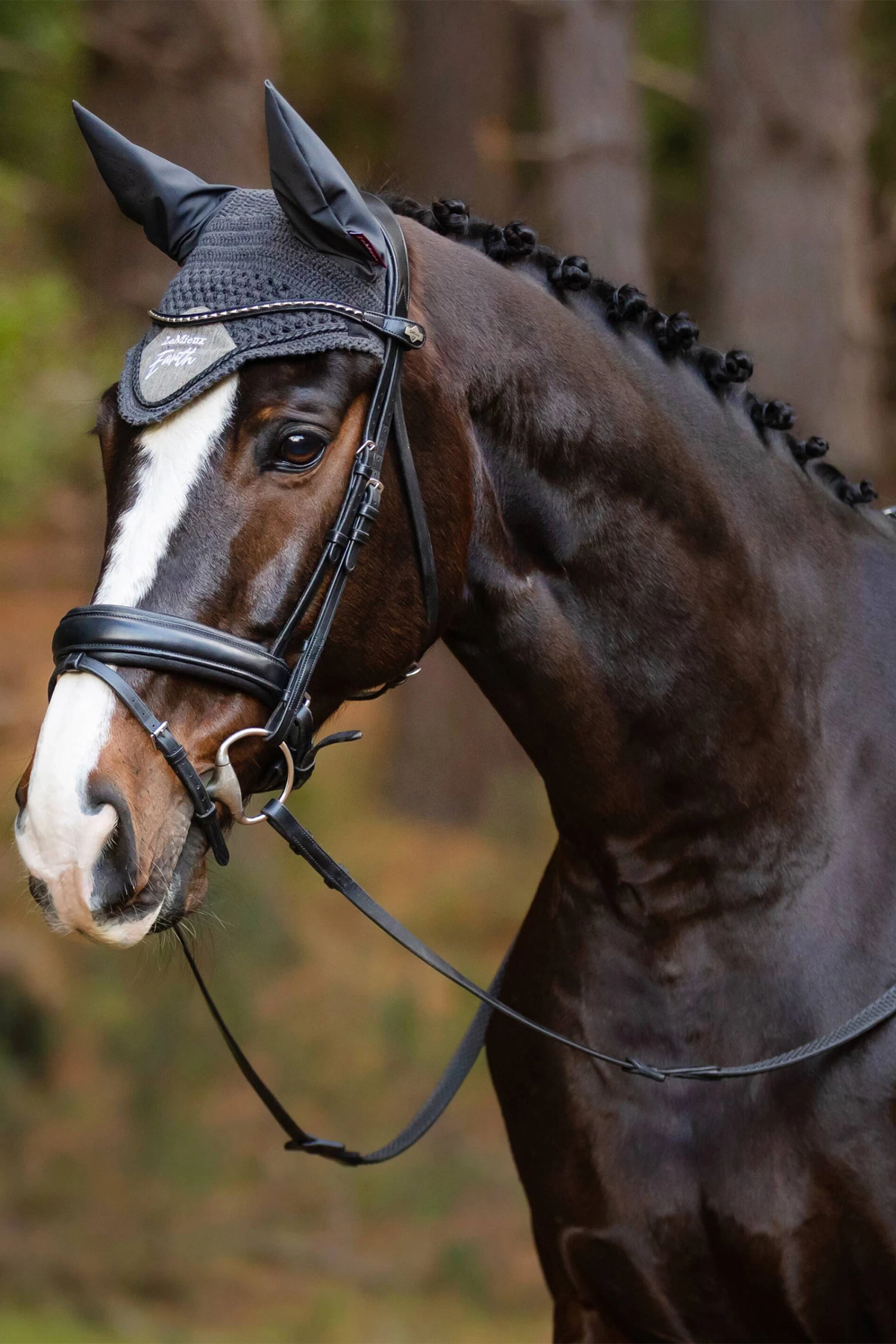 LeMieux Earth Fly Hood 8 LeMieux Earth Fly Hood - Image 6