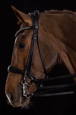 Schockemöhle Kensington Double Bridle Rolled -Sports - Horse Equipment Shop PVDDW 095 02