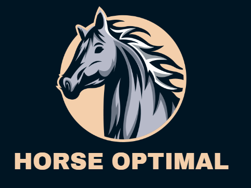 Sports – Horse Equipment Shop